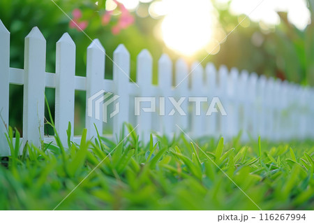 White picket fence with sunlight filtering through foliage in the background 116267994