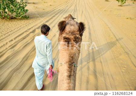 Point of view image of traveler on camel walking through desert with guide 116268124
