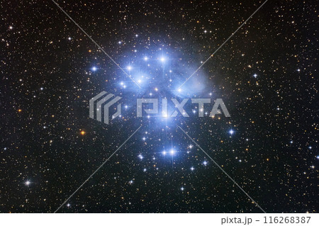 プレアデス星団 2019 プレアデス星団 2019 116268387