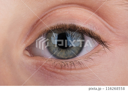 Macro photo of beautiful green girl's eye looking straight into the camera. Close up child's eye. 116268558