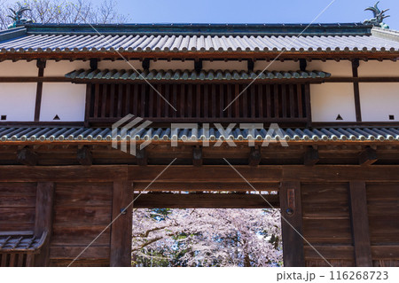 日本さくら名所100選　青森　弘前公園 116268723