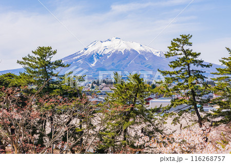 日本さくら名所100選　青森　弘前公園 116268757