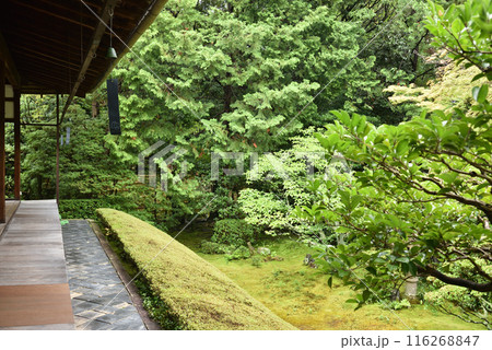 真如の庭　桂春院庭園【史蹟名勝】 116268847