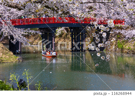 日本さくら名所100選 青森 弘前公園 日本さくら名所100選 青森 弘前公園 116268944