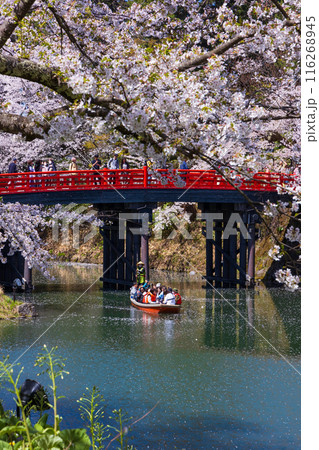 日本さくら名所100選 青森 弘前公園 日本さくら名所100選 青森 弘前公園 116268945