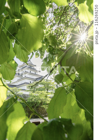 新緑の鶴ヶ城 縦 新緑の鶴ヶ城 縦 116269250