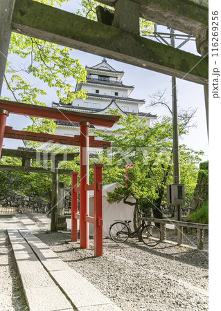 鳥居と新緑の鶴ヶ城 鳥居と新緑の鶴ヶ城 116269256