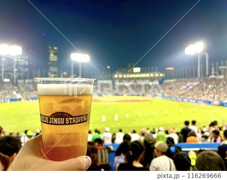 夏のプロ野球とキンキンに冷えた生ビール 夏のプロ野球とキンキンに冷えた生ビール 116269666
