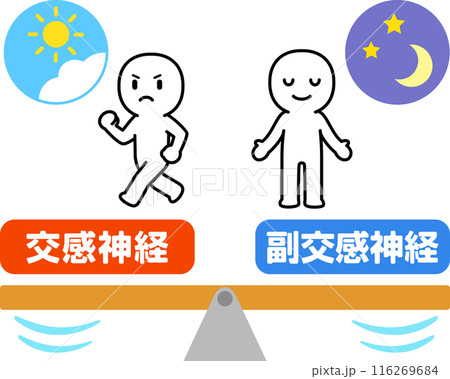 交感神経と副交感神経のバランスのイメージ 116269684