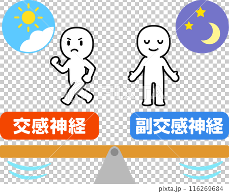 交感神経と副交感神経のバランスのイメージ 116269684