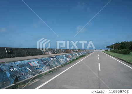 石垣島の八島小学校裏の防波堤と道路 116269708