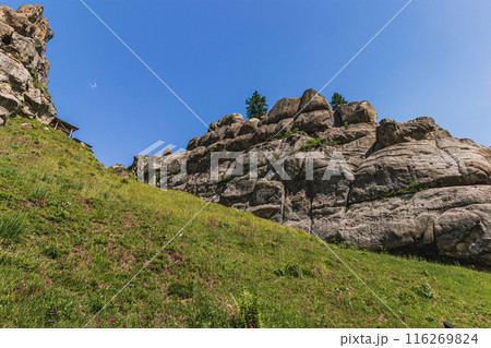 Tustan archeological, natural monument of national significance in Urych Ukraine 116269824