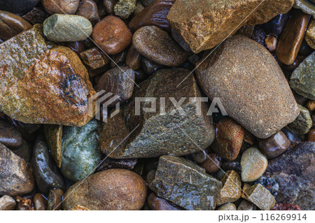 These are wet river pebbles and small round pebbles. Solid background. Top view These are wet river pebbles and small round pebbles. Solid background. Top view 116269914