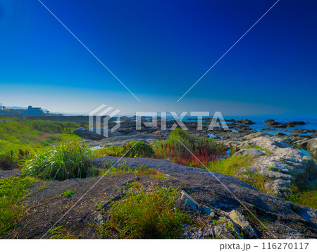 南房総伊戸海岸の海と青い空 116270117