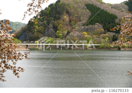 湯田の春 116270133