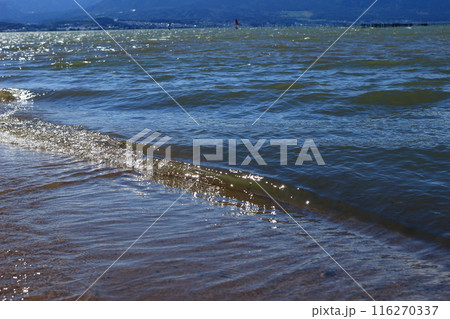 琵琶湖の波打ち際の風景 琵琶湖の波打ち際の風景 116270337