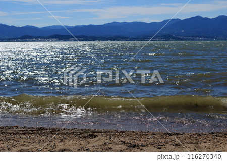 琵琶湖の波打ち際の風景 琵琶湖の波打ち際の風景 116270340