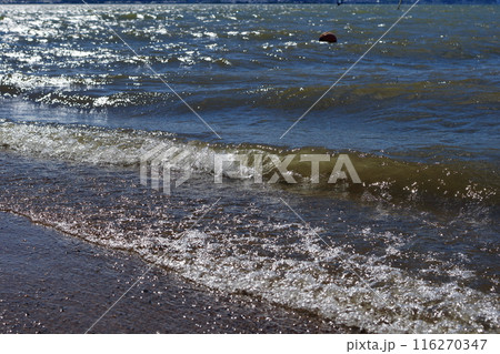 琵琶湖の波打ち際の風景 琵琶湖の波打ち際の風景 116270347