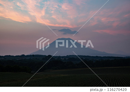 ニセコからの羊蹄山の朝焼け ニセコからの羊蹄山の朝焼け 116270420