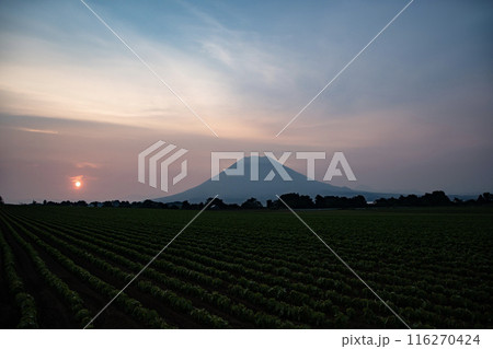 ニセコからの羊蹄山の朝焼け ニセコからの羊蹄山の朝焼け 116270424