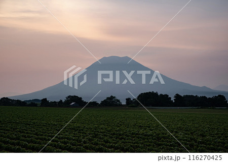 ニセコからの羊蹄山の朝焼け ニセコからの羊蹄山の朝焼け 116270425