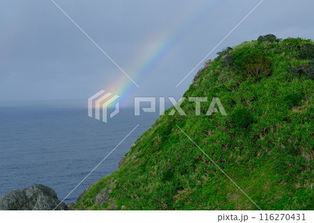 石垣島の御願岬と虹 116270431