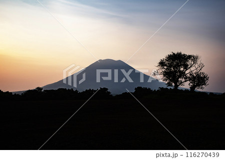 ニセコからの羊蹄山の朝焼け 116270439