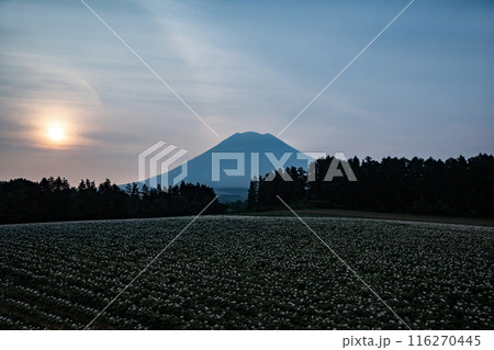 ニセコからの羊蹄山の朝焼け ニセコからの羊蹄山の朝焼け 116270445