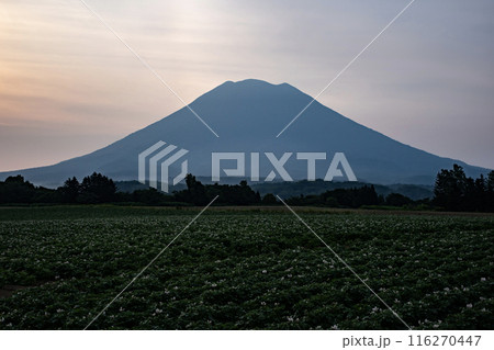 ニセコからの羊蹄山の朝焼け ニセコからの羊蹄山の朝焼け 116270447