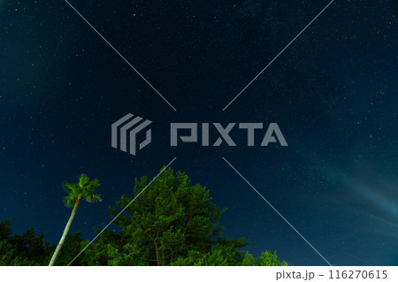 夜空に浮かぶ天の川 116270615