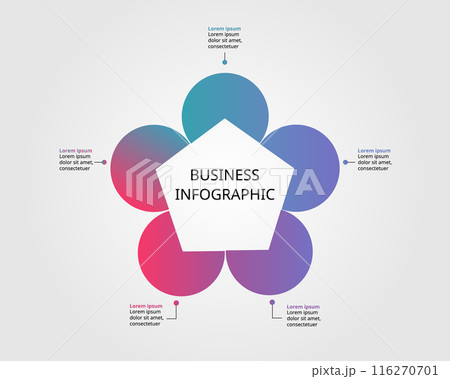 pentagon shape template for business infographic for presentation for 5 element 116270701