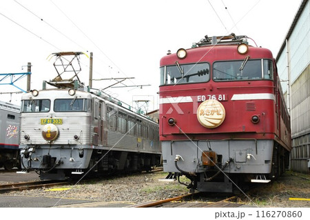 車両基地で並ぶEF81形電気機関車とED76形電気機関車 116270860
