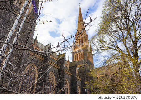 青空のもと美しく輝く教会 116270876