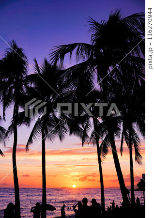 夕日が沈む前の様子 夕日が沈む前の様子 116270944