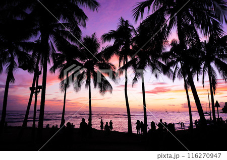 夕焼けに染まるワイキキのビーチの風景 夕焼けに染まるワイキキのビーチの風景 116270947