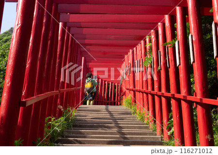 元の隅神社 116271012