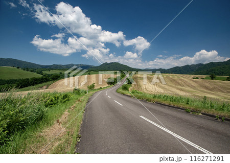 高原牧場の中を走る道 高原牧場の中を走る道 116271291
