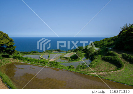 東後畑東後畑棚田棚田 116271330