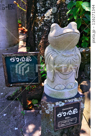 南伊豆のガマ寺 116271344