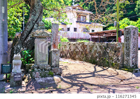 南伊豆のガマ寺 116271345