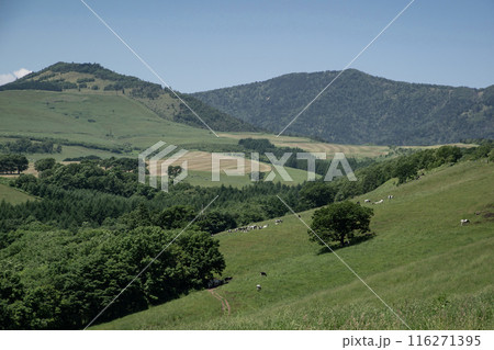 ナイタイ高原牧場 116271395
