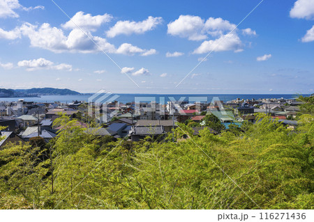 長谷寺から見る鎌倉の海 長谷寺から見る鎌倉の海 116271436