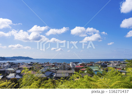 長谷寺から見る鎌倉の海 長谷寺から見る鎌倉の海 116271437