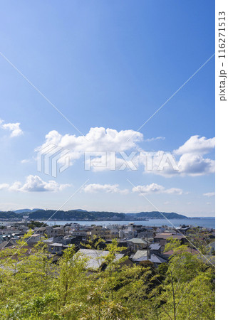 【縦写真】長谷寺から見る鎌倉の海 【縦写真】長谷寺から見る鎌倉の海 116271513