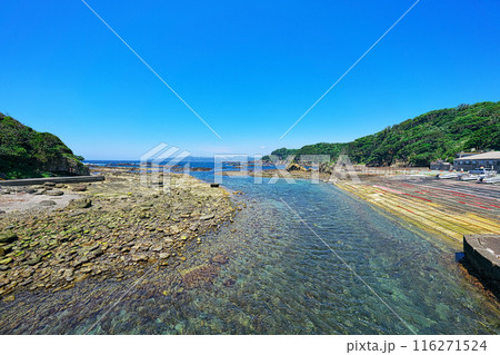 初夏の下田恵比須島 116271524