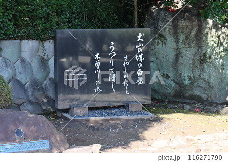 犬山城 116271790