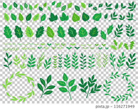 Green plant hand-drawn illustration set 116271949