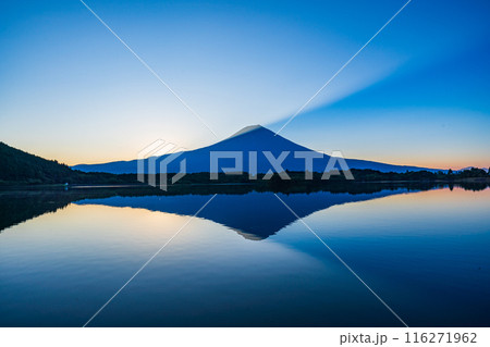 【静岡県】田貫湖から眺める夏の富士山 日の出 【静岡県】田貫湖から眺める夏の富士山 日の出 116271962