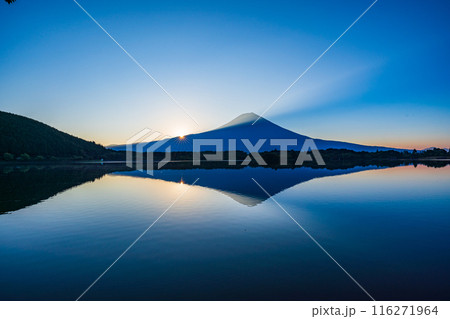 【静岡県】田貫湖から眺める夏の富士山 日の出 【静岡県】田貫湖から眺める夏の富士山 日の出 116271964