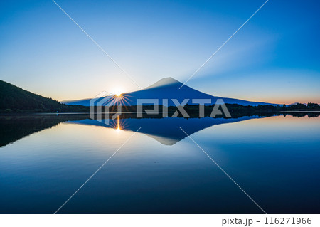 【静岡県】田貫湖から眺める夏の富士山　日の出 116271966